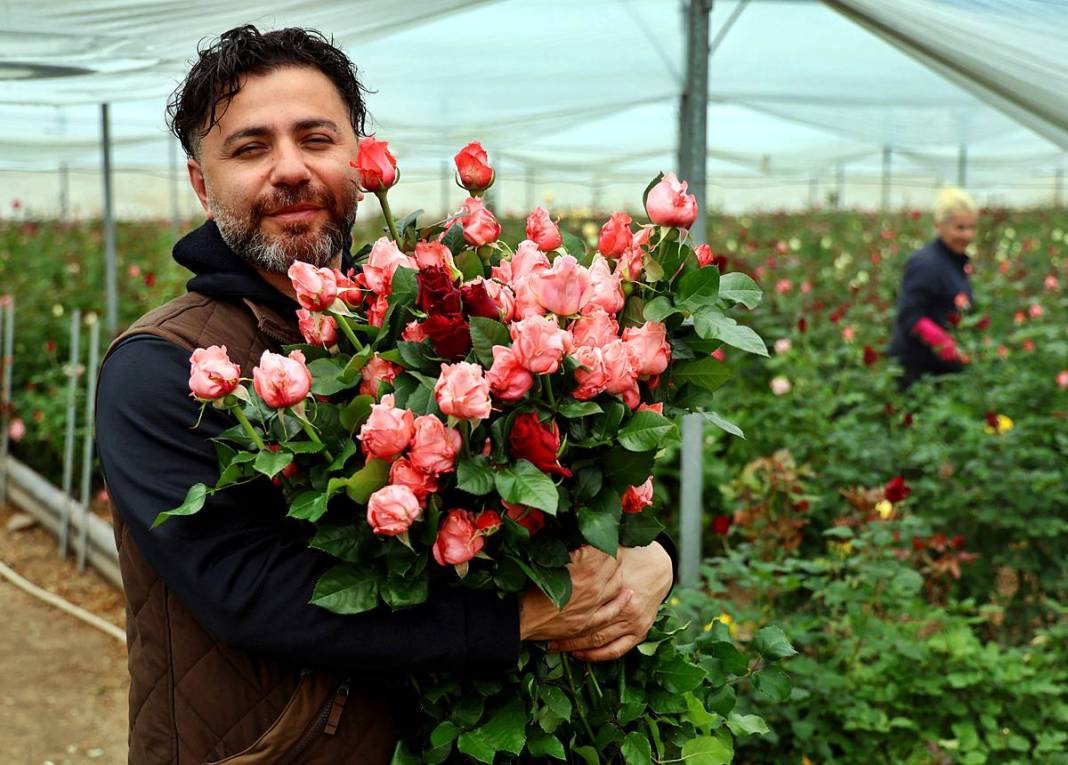 Hasat başladı, ithalat fiyatı düşürdü: Tanesi 30 TL! Özel günlerde kapış kapış satılıyor 10